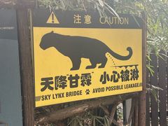 -鸡鸣汤包(红山动物园店)