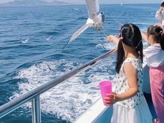 -海驴岛(荣成市)