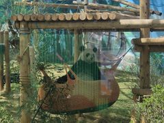 -鄂尔多斯野生动物园