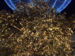 -永利澳门酒店