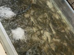 -芭提雅Amporn Seafood自助餐厅