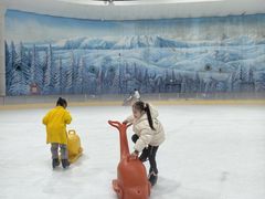 -世界之窗阿尔卑斯冰雪世界