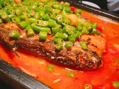 湄公鱼-炉鱼(天河领展店)