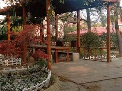 android_upload_pic-八大关景区