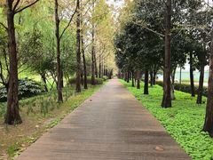 -浙江大学(海宁国际校区)