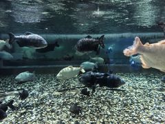 -成都浩海立方海洋公园