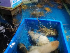 -盒马鲜生(悦峰店)