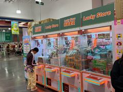 -中粮·祥云小镇