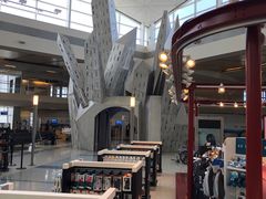 -达拉斯 沃斯堡国际机场