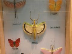 -大连自然博物馆