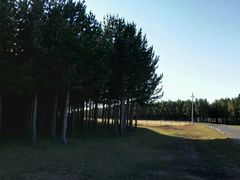 android_upload_pic-塞罕坝国家级自然保护区