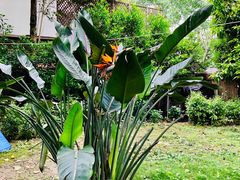 -三圣花乡旅游区