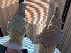 -野人牧坊Gelato(天津南开大悦城店)