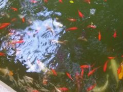 android_upload_pic-苏州吴宫泛太平洋酒店