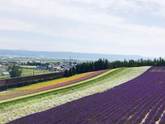 -富田农场