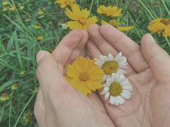 -白鹭湾湿地公园