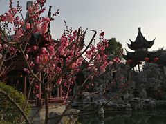 -檀园