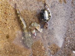 -那香海钻石沙滩浴场