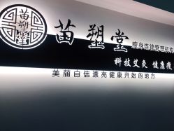 -苗塑堂减肥艾灸