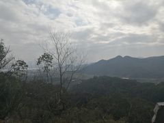 -青芝山风景名胜区