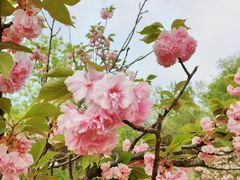 -朝阳公园