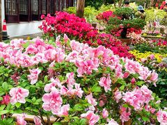 -惠山古镇·寄畅园