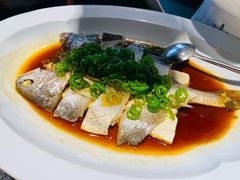 -权茂上海菜(殷行路店)