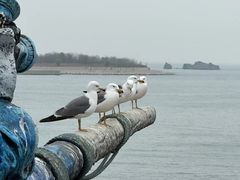 -大连老虎滩海洋公园