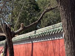 -北京国子监胡同
