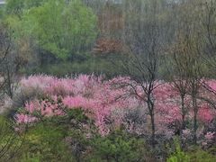 -太原武宿国际机场