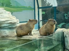 -大连森林动物园