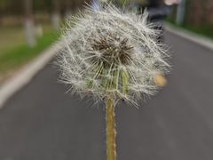 -潇河湿地公园