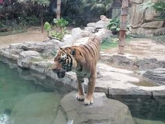 -深圳野生动物园