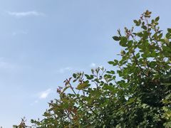 -上海植物园-4号门售票处
