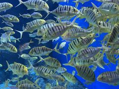 -成都浩海立方海洋公园