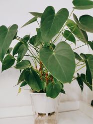 -香秀空间科技抗衰·美容中心