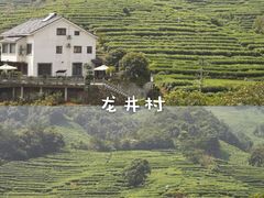 -龙井村