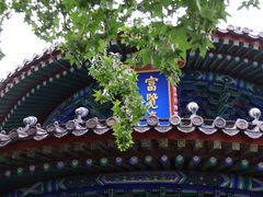 景点-景山公园