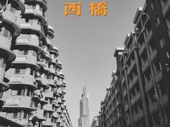 -紫峰大厦