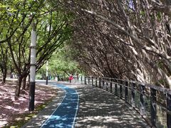 -苏州河梦清园环保主题公园