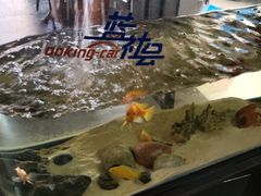 -上海蓝精灵改灯旗舰店(顾戴路店)