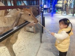 点击看大图 -酷嗒动物文化乐园(cutezoo西溪乐天城店)