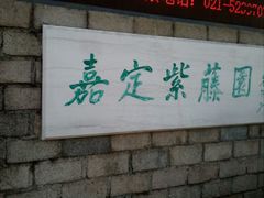 -嘉定紫藤园