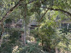 -野象谷景区