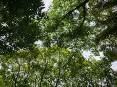 -重庆市江北嘴中央商务区中央公园