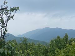 -香山公园