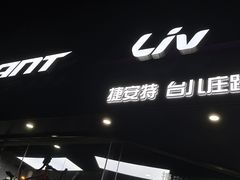-GIANT捷安特自行车专卖店(金桥台儿庄路店)