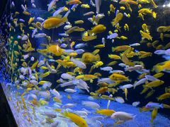 -成都浩海立方海洋公园