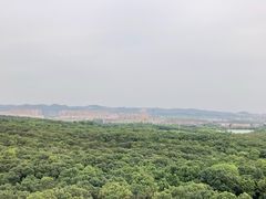 -灵谷景区