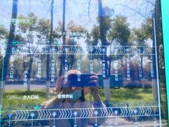 -合肥滨湖国家森林公园